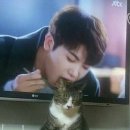 후루룩 Daum카페