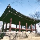 풍영정 Daum카페