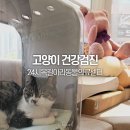 24일산우리동물병원 | 부천동물병원 24시옥길아라동물의료센터 고양이 건강검진 후기