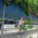 수곡어린이집 이미지