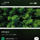 둘레길7구간 | 제주도 한라산 둘레길7구간 사려니숲길 방문후기