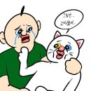 새천년건강약국 - 부안군 석정로 227 | 새천년건강약국