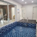 보니애키즈풀빌라 이미지