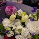 수인치과기공소 이미지