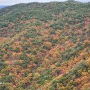 만산홍록의 장산 이미지