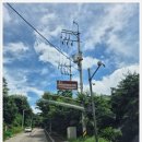 바라산자연휴양림 | 의왕 바라산자연휴양림 바라산동 후기 예약 성공법 가족모임 둥이들과 첫 휴양림 그리고 새벽 산책