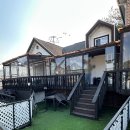 좋은데 펜션 | 가평 애견동반 포도밭댕댕이펜션 4호 내돈내산 후기