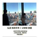 더린카페 | (일본 도쿄여행) 하라주쿠 가볼만 한곳/ 하라주쿠 규카츠맛집/시부야 스크램블 교차로 무료로 보는 곳...