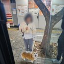 (주)쿠키 이미지