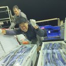 현대자동차사직점 이미지