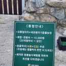 대관령 아기동물농장 | 대관령여행 대관령가볼만한곳 대관령아기동물농장 체험해본후기