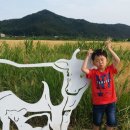 청미천 5 이미지