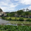 세나펜션 이미지