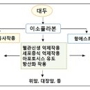 5. 대두제품(청국장, 낫토, 된장, 두부 등)의 이소플라본은 암 발생과 증식을 억제한다 이미지