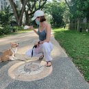 레노메디 | 두밥 등장.. 아 내가 임신을 했다고?