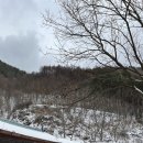 309펜션민박 이미지