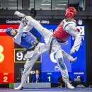 세계태권도 이미지