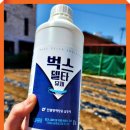 “여름철 벌레 퇴치, 벅스델타가 답이다”