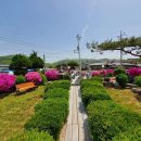 길안천 돌담집 이미지