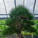 해송4로 이미지