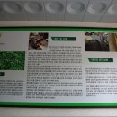 계촌초등학교 이미지