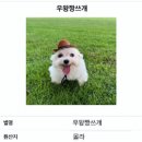 군집 | 군집 미세석회화 맘모톰 스테레오탁틱 후기, 통증, 실비 - 유방암 조직검사