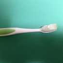 알바라카 이미지