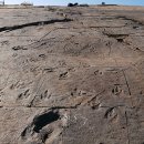 진주 정촌면 백악기 공룡ㆍ익룡발자국 화석산지 이미지