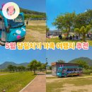 서피랑문화관광해설사의집 | 5월 가족여행 여기로 끝! 아이랑 부모님 모시고 가기 좋은 당일치기 여행지 황산공원 생태관람차