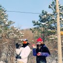 삼화목장 Daum카페