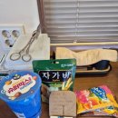 삼화민박 | 새해 나의 일기(김녕 독채펜션 무스고)