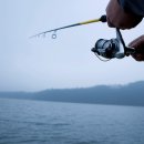 웰빙수산물 이미지