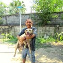 메이데이 이미지