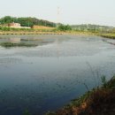 비봉토종농장 이미지