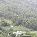 홍제원농장 네이버블로그