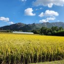 압해공인중개사사무소 이미지