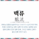 심박(心搏)과 맥동전류(脈動電流) 이미지