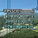 카페소노 | 소노펠리체 엠브로시아 카페 후기 울산바위가 한눈에 보이는 고성 뷰맛집