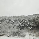 강천산모텔