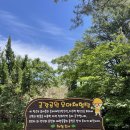 금강카 이미지