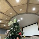 성탄절트리를 합심하여~~🎄🎄 이미지