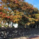 비블리아성서식물원 이미지