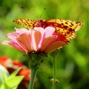 구암농장 이미지