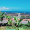 빨간머리몽 게스트하우스 이미지