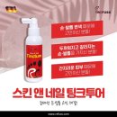 레푸스전주