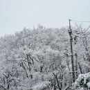 홀리몰리~! 겨울왕국이야!! 이미지