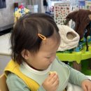 공금농장 이미지