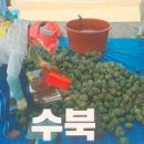 남해군농협조합공동사업법인 이미지