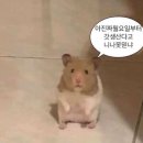 한경관리 이미지