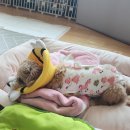 힘껏 뻗어 닿으려 하면 넌 또 멀어져 반짝거려